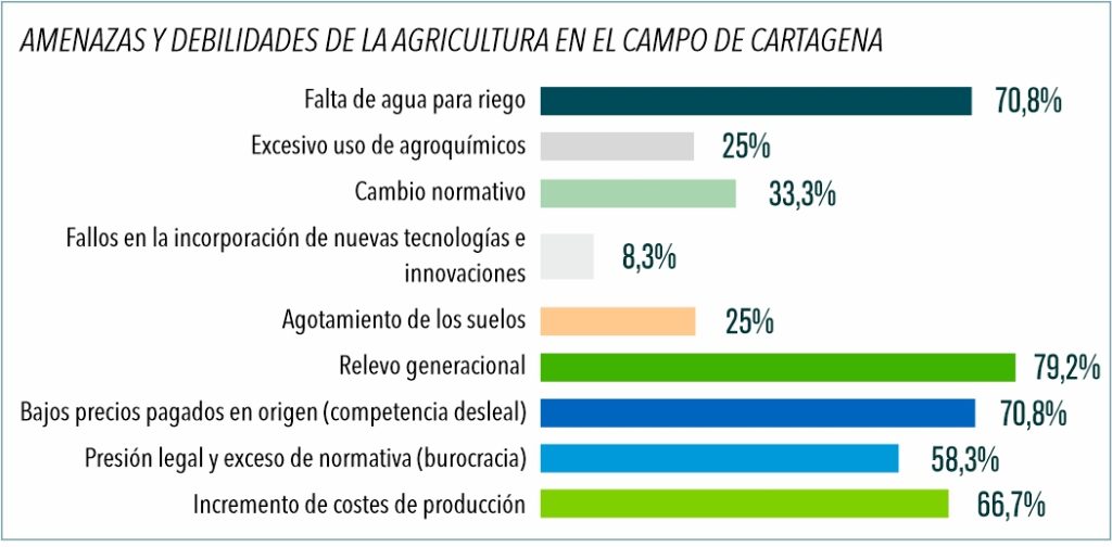 amenazas debilidades