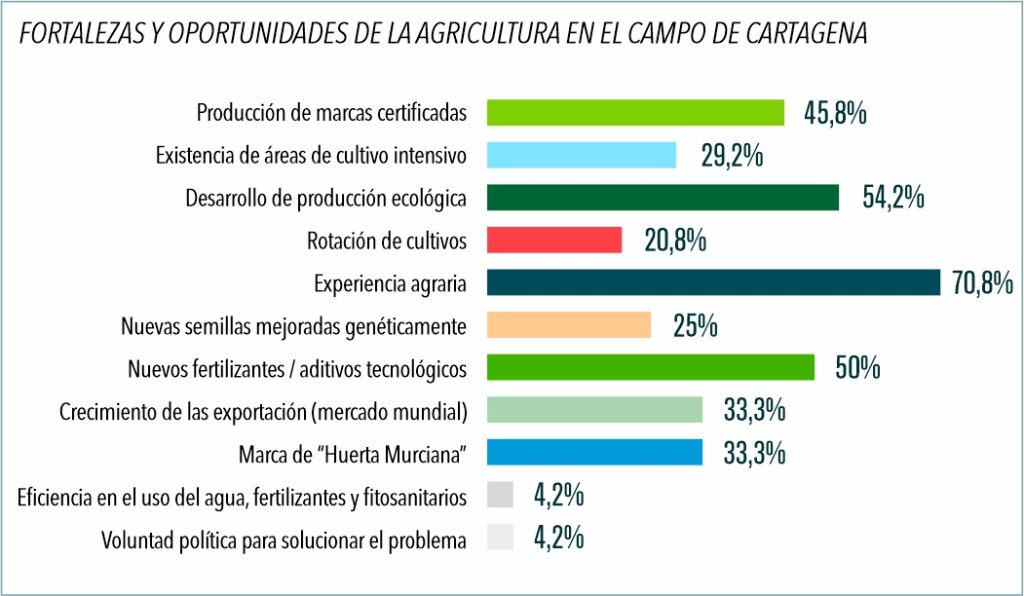 fortalezas oportunidades