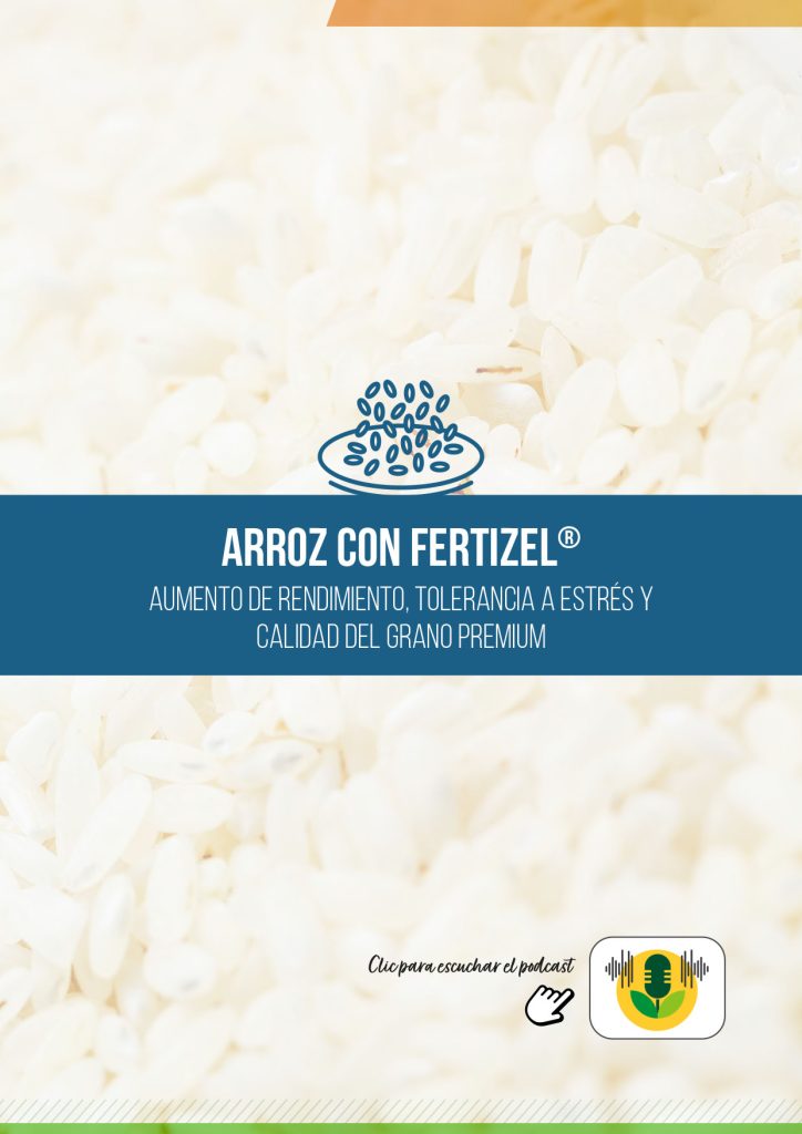 ARROZ