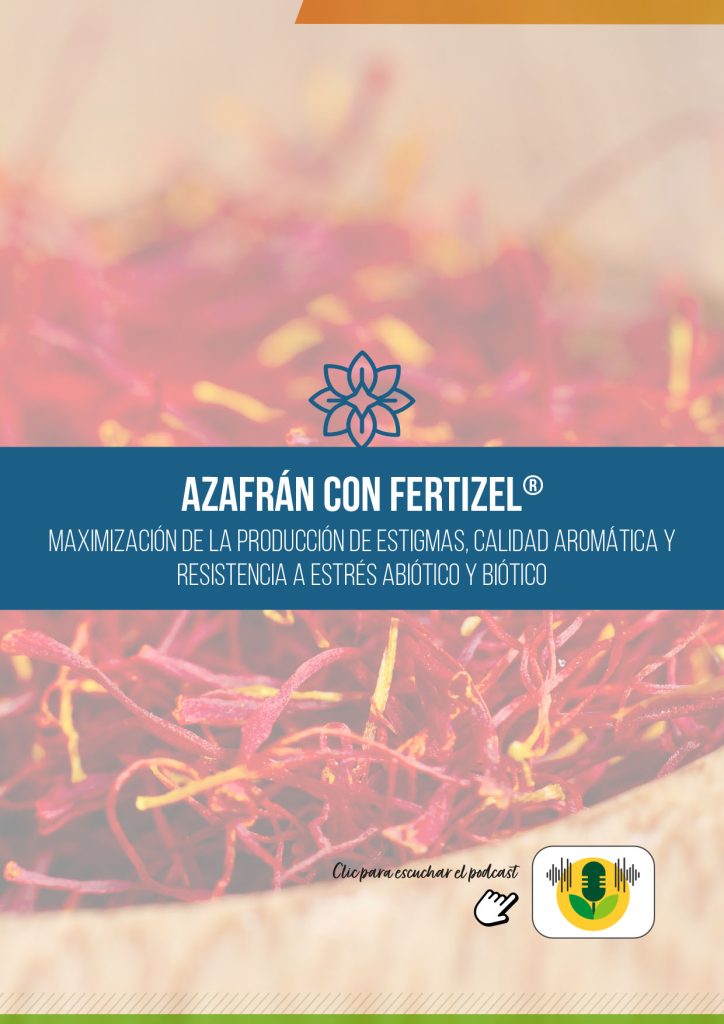 AZAFRÁN