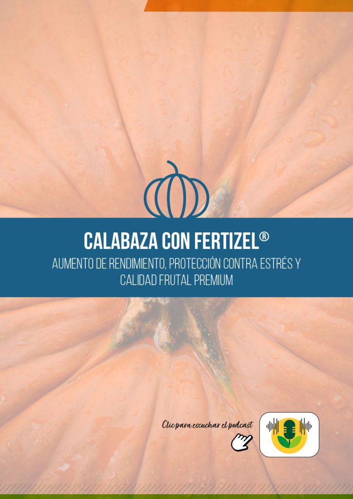 CALABAZA