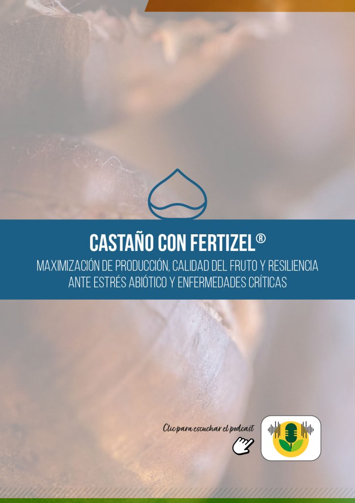 CASTAÑO