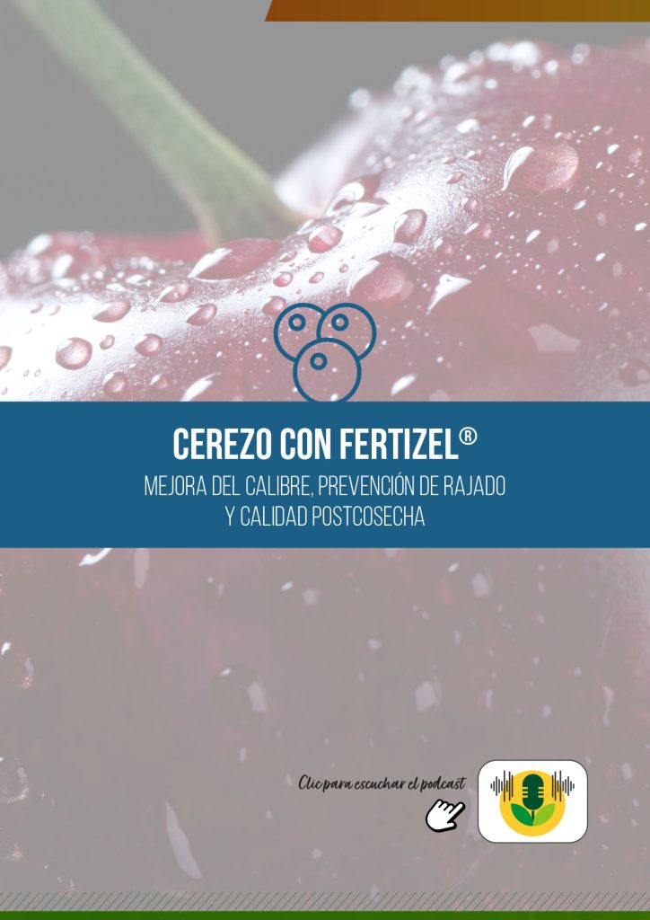 CEREZA