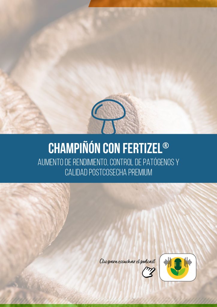 CHAMPIÑÓN