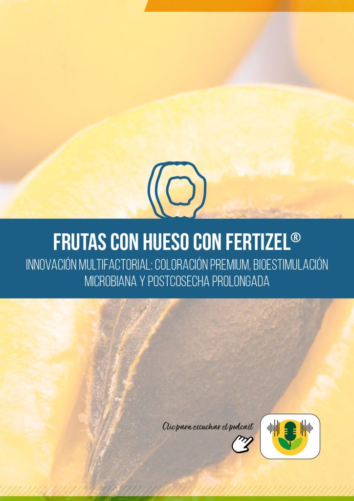 FRUTA CON HUESO