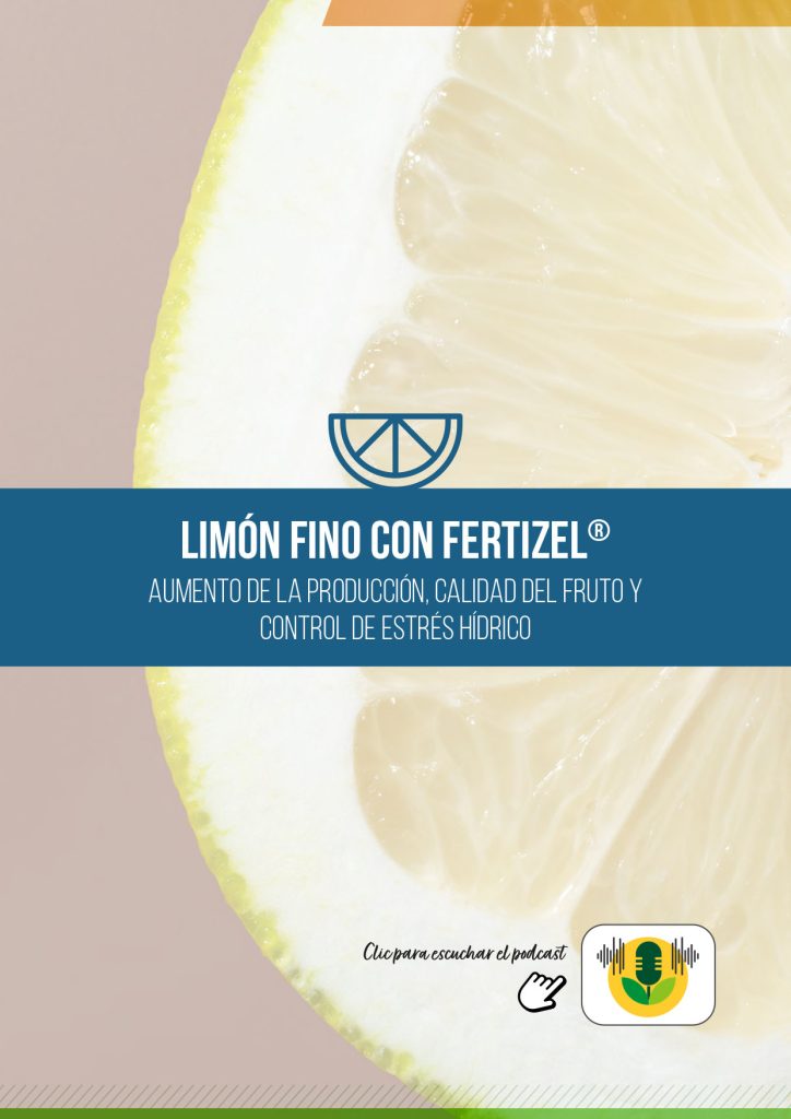 LIMÓN