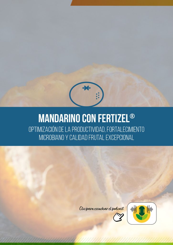 MANDARINA
