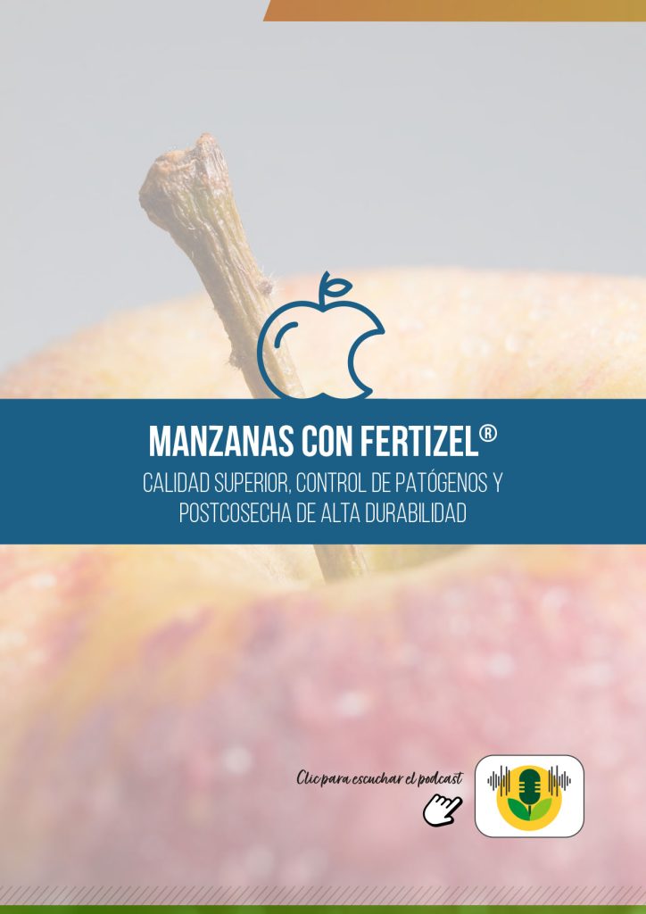 MANZANA