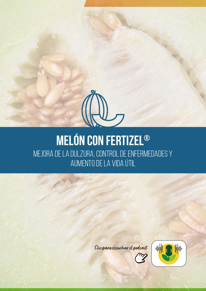 MELÓN