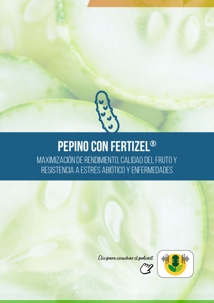 PEPINO