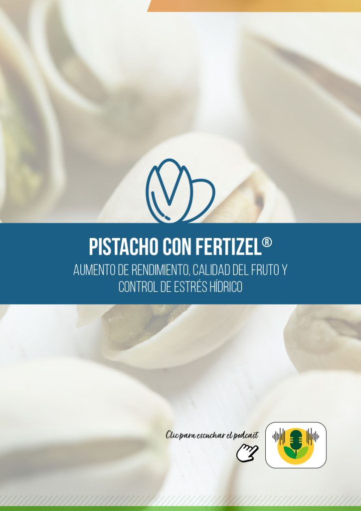 PISTACHO