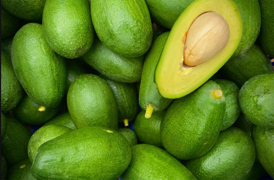 aguacate