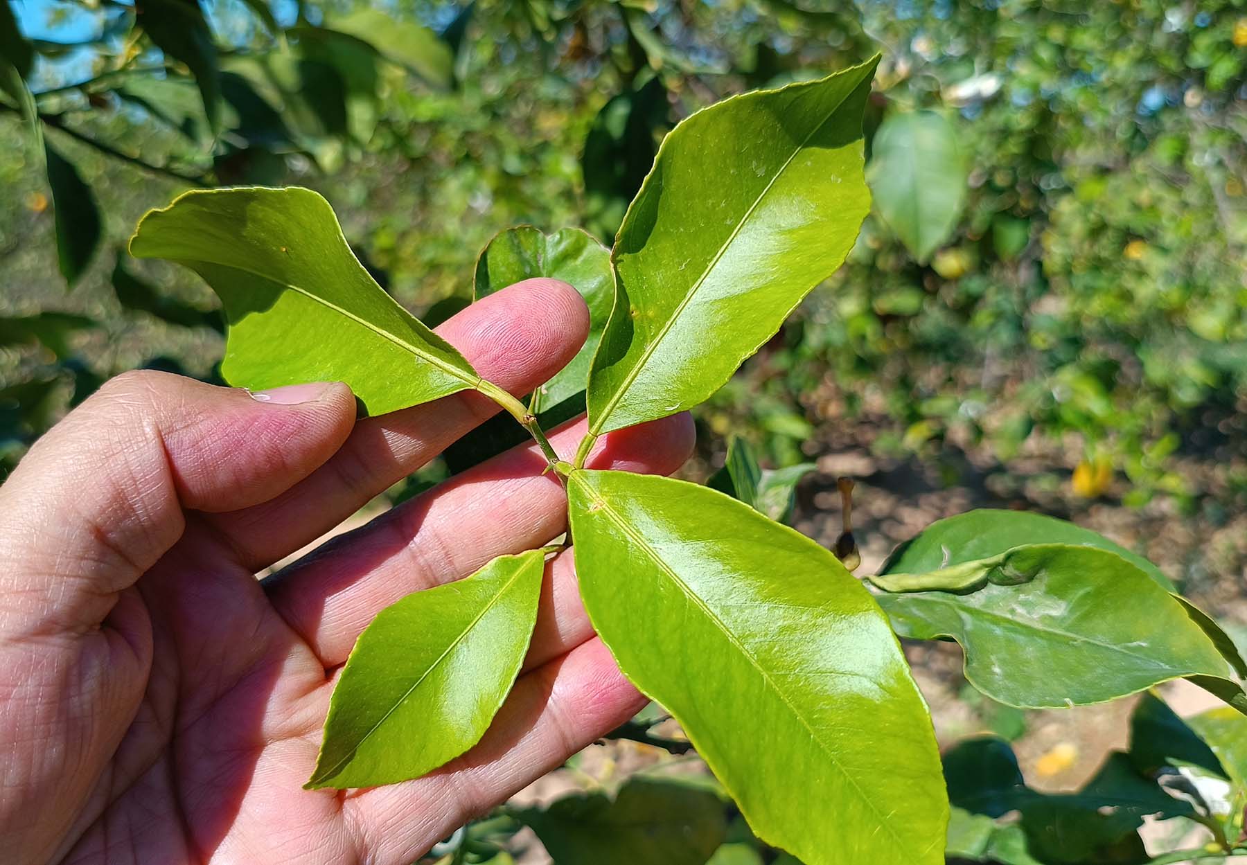 nuestra misión